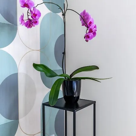Vakantiehuis Les Lilas - Confort - Calme - Wifi